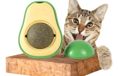 Brinquedos de Catnip: O Que São e Por Que os Gatos Amam?