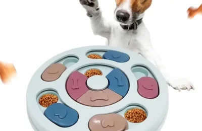 Brinquedos Interativos para Cães: 7 Melhores Opções em 2026