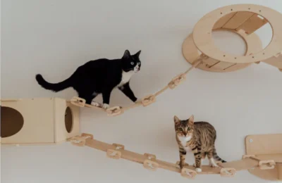 Os 10 Brinquedos mais Divertidos para Gatos em 2026