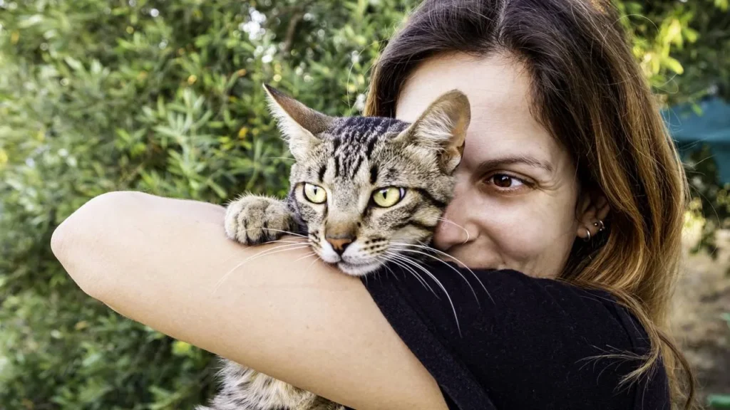 Os 10 Erros Comuns ao Cuidar de Gatos Que Você Está Cometend