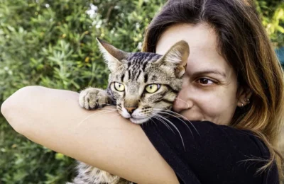 Os 10 Erros Comuns ao Cuidar de Gatos Que Você Está Cometend