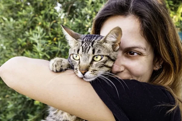 Os 10 Erros Comuns ao Cuidar de Gatos Que Você Está Cometend