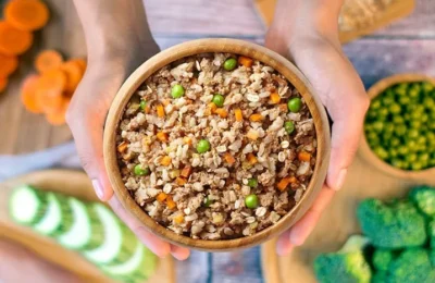 Ração Caseira para Cães: Como Fazer? Receitas Simples em 2026