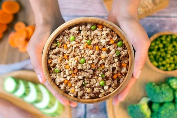 Ração Caseira para Cães: Como Fazer? Receitas Simples em 2026
