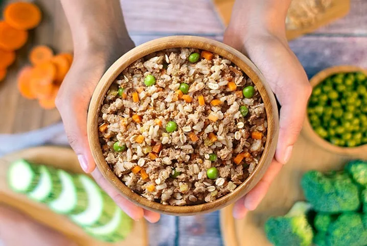 Ração Caseira para Cães: Como Fazer? Receitas Simples em 2026