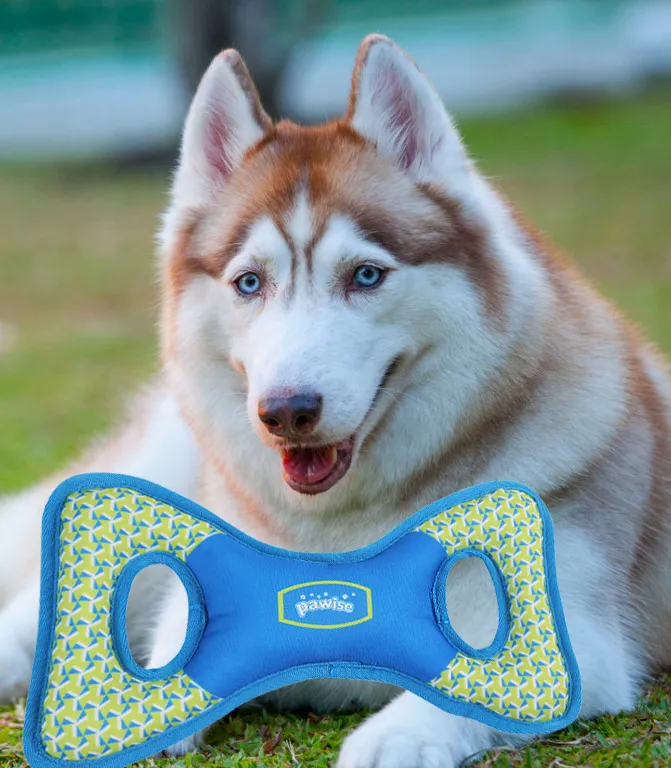 Brinquedos para Cães de Grande Porte: Os 5 Melhores em 2026