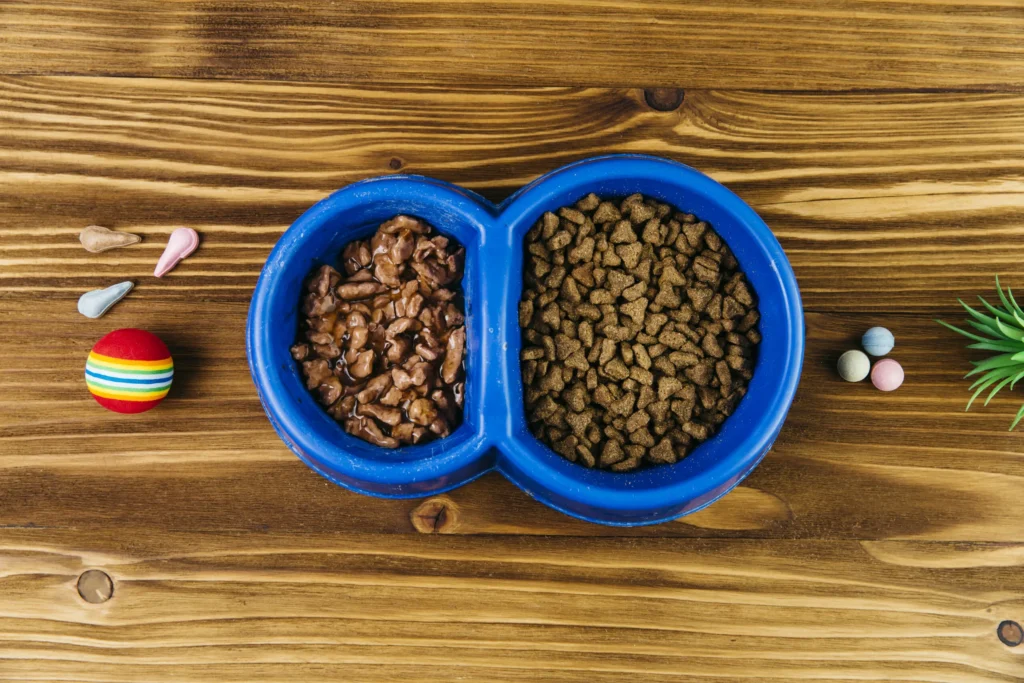 Diferença entre Ração Úmida e Seca para Gatos: Qual Escolher