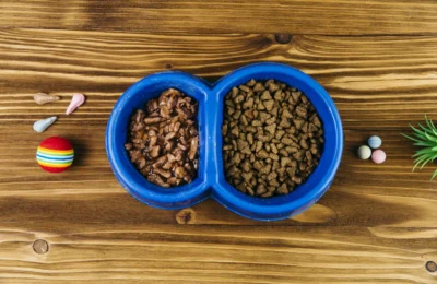 Diferença entre Ração Úmida e Seca para Gatos: Qual Escolher