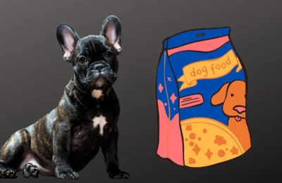 Ração Hipoalergênica para Cães: O Que É e Quando Usar?