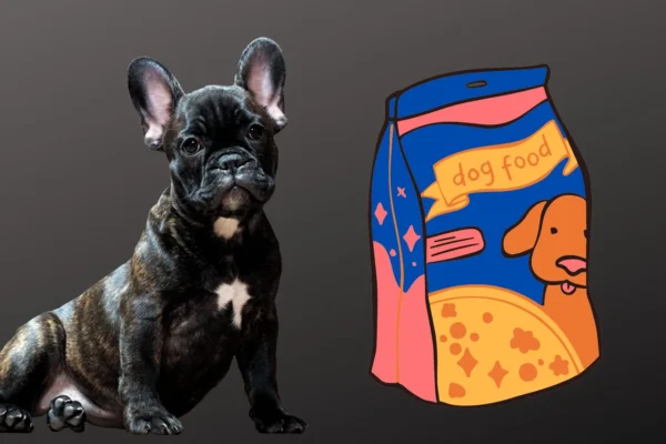 Ração Hipoalergênica para Cães: O Que É e Quando Usar?
