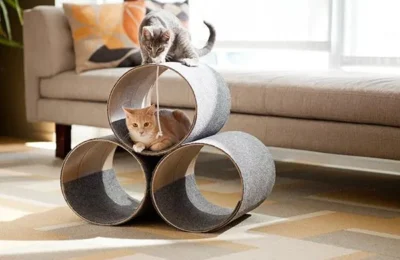 Como Fazer Brinquedos Caseiros para Gatos: 5 Ideias Criativa